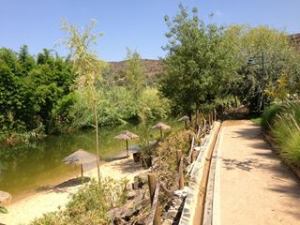 1148752_10201831555292622_723029824_n