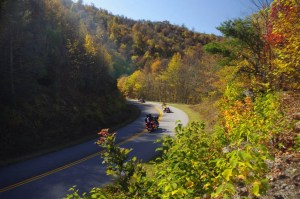 Parkway-sun-leaves-3-bikes-1024x680
