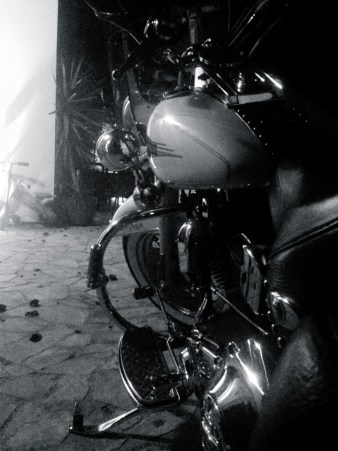 12359978_10208061440475858_1796177703784019092_n